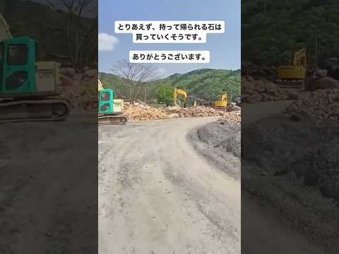 aménagement-jardin-de-rocaille-petits-pierres-plantes