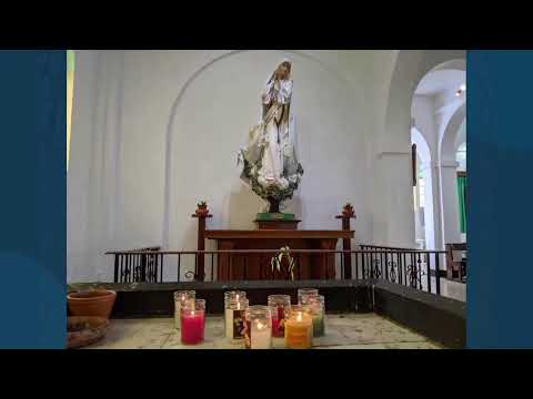 THE ROSARY - WED 9TH NOVEMBER 2022