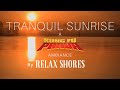 Tranquil Sunrise: A Relaxing Kung Fu Panda Sound Atmosphere (Hans Zimmer & John Powell Music Mix)
