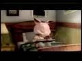 Jakers As Aventuras De Piggley Winks Abertura Em Português