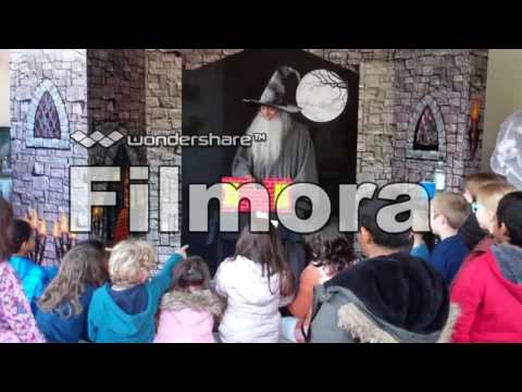 Wizard Magician Service video.