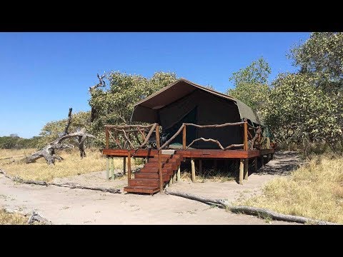 Camp Savuti - Accommodation