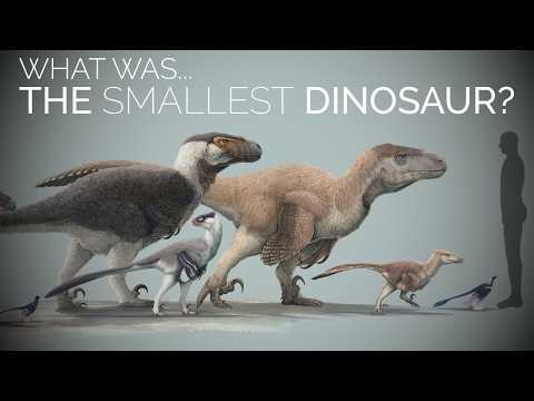 The SMALLEST & Cutest Dinosaurs on Earth…