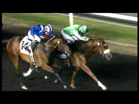 17.03.2012 Meydan (Dubai UAE) 6.Race Gulf News - Handicap 1.600 m