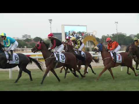 2025.07.06. 11. Futam - MAGÁNYOS DÍJ (Elit kat.)