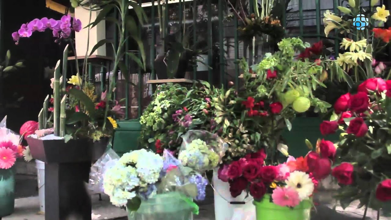 Florería - Colonia Cuauhtemoc, México - Arte y Detalle