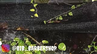 Download lagu 1jam nonstop terapi air hujan dan suara jangkrik //cocok untuk relaksasi mp3 Download lagu 1jam nonstop terapi air hujan dan suara jangkrik //cocok untuk relaksasi mp3