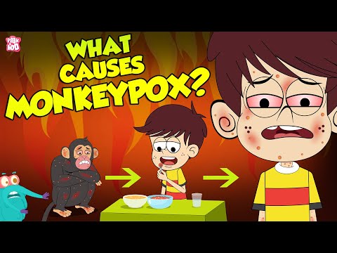 Monkeypox Peekaboo Kidz deep listeni…: English ESL video lessons Monkeypox Peekaboo Kidz deep listeni…: English ESL video lessons