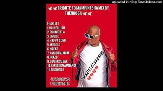 TRIBUTE MIX TO MAMPINTSHA MIX BY THENDO SA ONLY THE BEST HITS💔