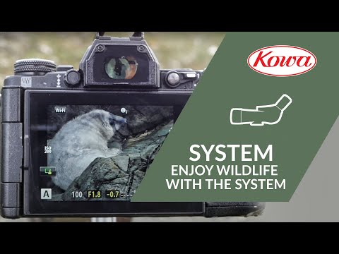 Enjoy Wildlife with the Kowa System
