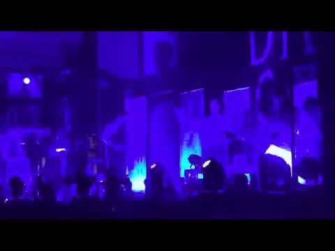 DGD  - Times New Roman (2007 - 2022)