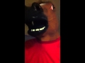 FUCKING HORSES