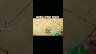 Download lagu semua trucukan jadi sehat dan rajin bunyi #shortsvideo #trucukangacor #vitamin #shorts #trucukan mp3