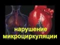 За здоровый образ жизни. Микроциркуляция. 