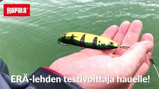 Rapala Weedless Minnow Spoon 08 OLDB
