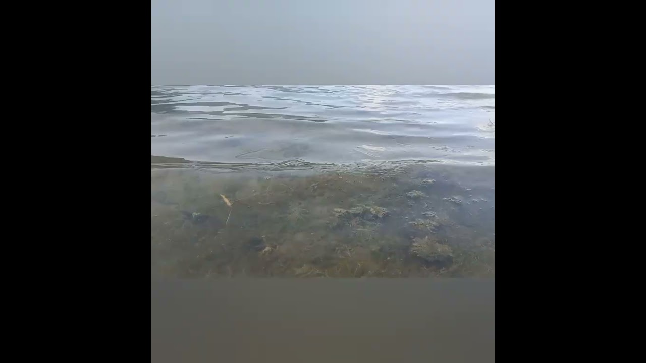 The Design Is Complete (Unforgiven)