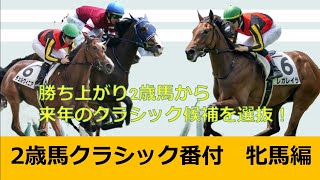 【POG2023−2024】2歳馬クラシック番付牝馬編！！！暮れのGI、来年の桜花賞・オークスで活躍するのはこの馬だ！