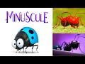 Red Ant Vs Black Ant War Minuscule Animated Short Film