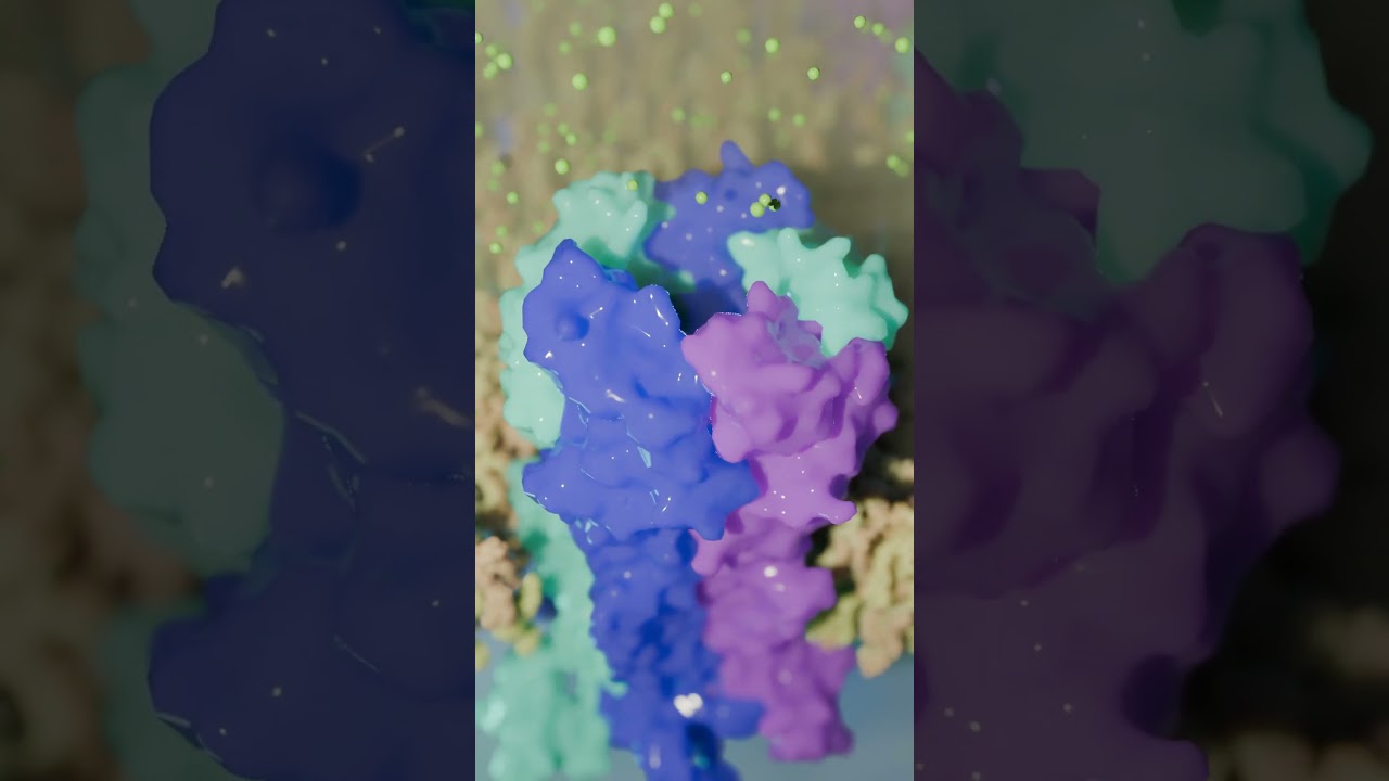 The GABA-A receptor is a protein complex that acts as the brain's main brake.