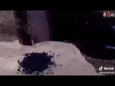 Zaluzja-Śpiwór (wersja Sąsiedzi)