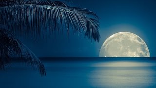 Relaxing Sleep Music and Nature Sounds – HD Ocean Landscape