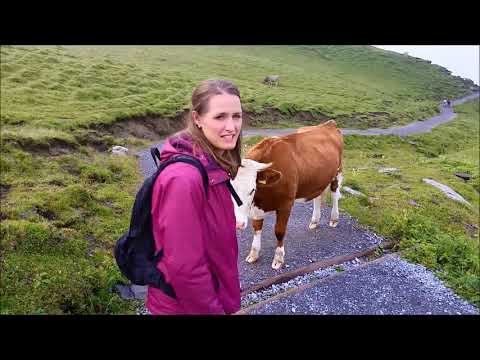 European Vacation Bergstrom Style