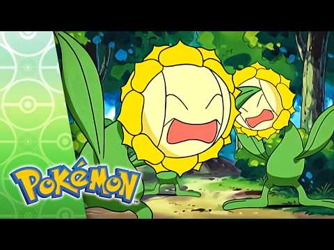 Grass Hysteria! | POKÉMON FULL EPISODE 33 | Season 7