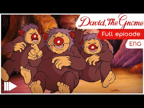 David the Gnome - 13 - The trapped bear | Full Episode |