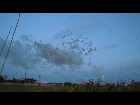 Adelfia San Trifone 2017 quinto sparo parte finale