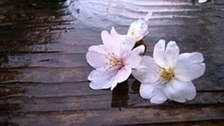 I Get Along Without You Very Well - Renato Russo (Letra Traduzida)