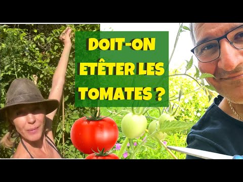 , title : 'Doit-on tailler les tomates qui poussent trop fort ?'