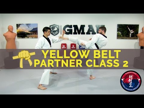 Taekwondo Follow Along Class - Yellow Belt - Partner Class #2 thumbnail