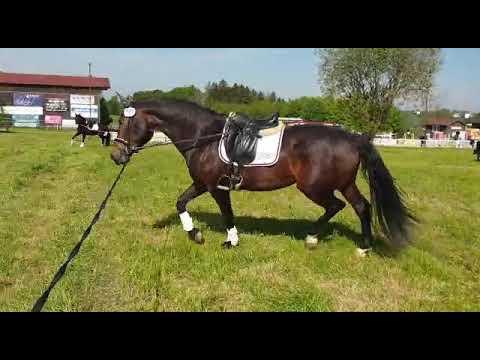 Tanja v. Rock Forever x Revan x Jazztime