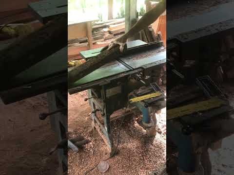 5 Must-Have Woodworking Tools for Every Beginner