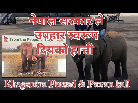 Khagendra & ,Rudra kali's Epic Qatar Adventure!