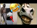 Try Not To Laugh Insane Challenge If You Laugh You Fail