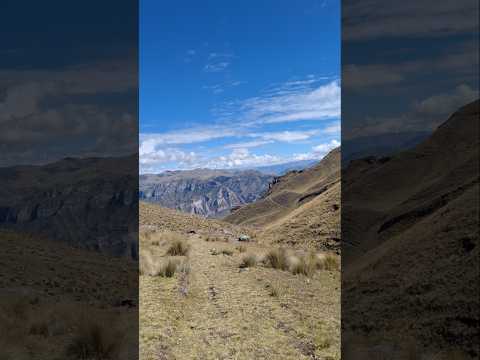 Ruta a Waqrapukara - Acomayo - Cusco #waqrapukara #acomayo #cusco #trekkingperu #trekking #hiking