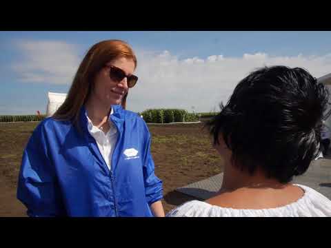 New Holland  - parteneriat Pioneer, ferma Cosmin Bacanu - Furculesti, Teleorman