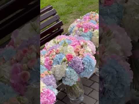 3 ноября 2024 г.