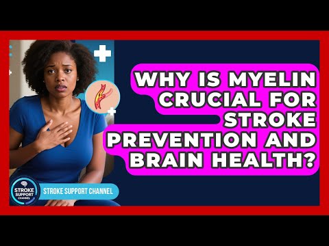 Why Is Myelin Crucial For Stroke Prevention And Brain Health? - Stroke Support Channel