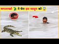 मगरमच्छो ने घेरा इस मासूम को Chambal River Magarmach V