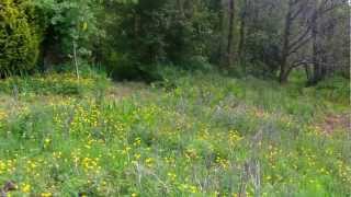Glencar cottage, Co. Leitrim