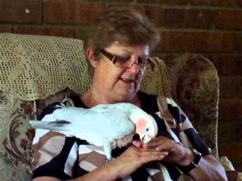 "Mac" get a fuss from Mum