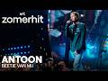 Beetje van mij - Antoon | VRT Zomerhit