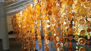 Bill Gould's Donation at the Gala