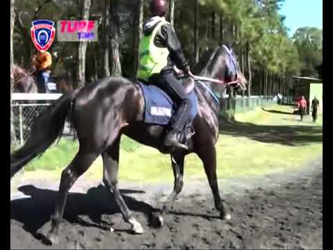 FLOREAL NEWS RACE MEETING 26