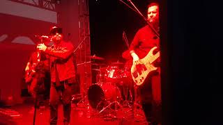 La Secta All Star en vivo - Solo quiero darte amor