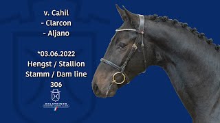 Video of Caljano