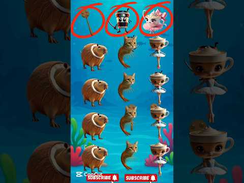 Find the Capuchin killer ballerina capuchin #tungtungtungsahur #lirililarila