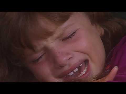 Wild Cat - Episode 029